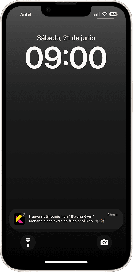 Notificaciones enviadas desde el panel y recibidas en la app